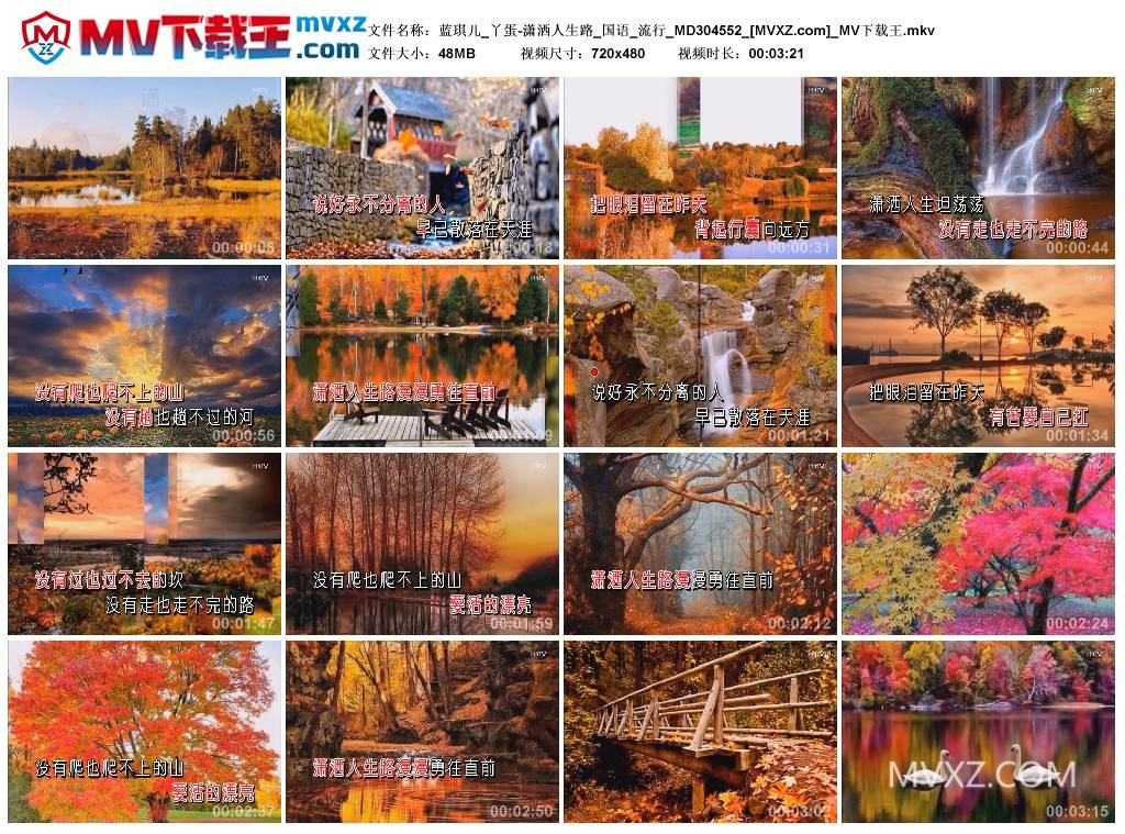 蓝琪儿_丫蛋-潇洒人生路_国语_流行_MD304552